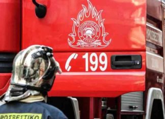 ΠΥΡΟΣΒΕΣΤΕΣ ΤΟΥ Ν.ΠΕΛΛΑΣ ΣΤΗΝ ΠΥΡΚΑΓΙΑ ΤΗΣ ΚΙΝΕΤΑΣ