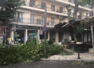 ΣΥΝΕΡΓΕΙΟ ΤΟΥ ΔΗΜΟΥ ΕΔΕΣΣΑΣ ΕΚΟΨΕ ΚΛΑΔΙ ΔΕΝΤΡΟΥ