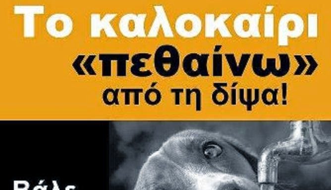 Βάλτε νερό για τα αδέσποτα ζώα . Όπως διψάς εσύ διψάνε και αυτά.