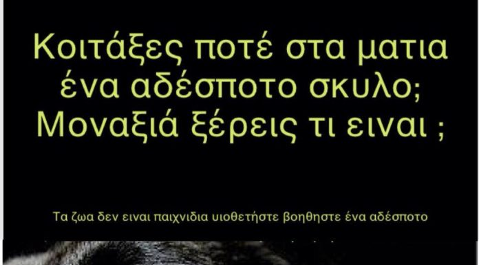 Τα ζώα δεν είναι παιχνίδια, Υιοθετήστε-Βοηθήστε ενα αδέσποτο