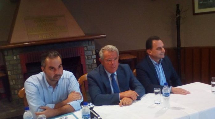 ΕΚΛΟΓΕΣ ΤΩΡΑ ΖΗΤΗΣΑΝ ΒΟΥΛΕΥΤΕΣ ΤΗΣ ΝΔ ΑΠΟ ΤΗΝ ΕΔΕΣΣΑ.