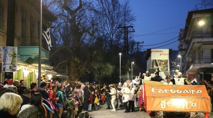 Το Εδεσσαϊκό Θέατρο στο Εδεσσαϊκό Καρναβάλι (φωτό & βίντεο)