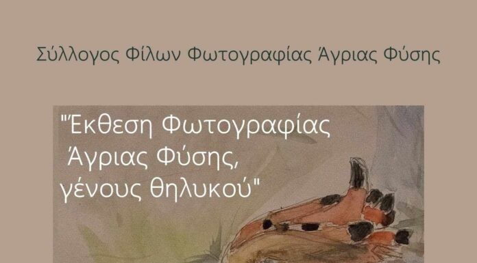 Έκθεση Φωτογραφία Άγριας Φύσης «ΓΕΝΟΥΣ ΘΗΛΥΚΟΥ»