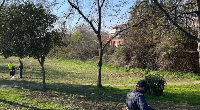 Ανακοίνωση Δήμου Σκύδρας για τον καθαρισμό οικοπεδικών χώρων