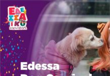 Dog Carnival – Γαβ γαβ και μασκαράδες αύριο Σάββατο 14 Φεβρουαρίου