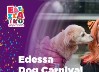 Dog Carnival – Γαβ γαβ και μασκαράδες αύριο Σάββατο 14 Φεβρουαρίου
