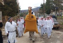 Το έθιμο της «ΚΑΜΗΛΑΣ» ξαναζωντάνεψε στην Περαία, μετά από 70 χρόνια