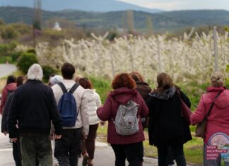 Η Έδεσσα γέμισε με κόσμο, χρώματα και χαμόγελα στην πρώτη ανοιξιάτικη εκδήλωση της Περιφερειακής Ενότητας Πέλλας