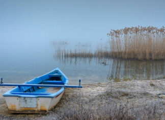 Απαγόρευση αλιείας στη λίμνη Βεγορίτιδα εντός των ορίων της Π.Ε. Πέλλας, στο πλαίσιο αναπαραγωγής ιχθύων για το 2026