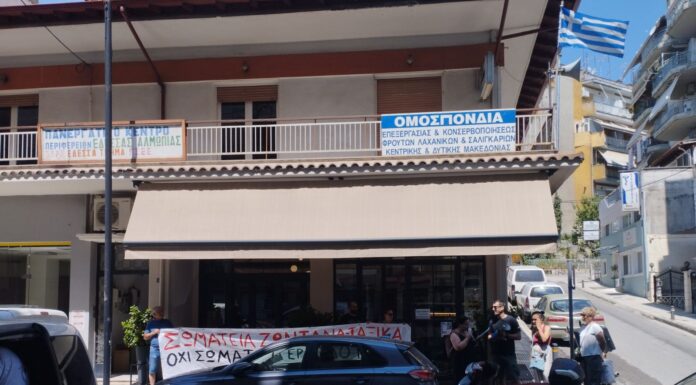 Με μαχητικότητα πραγματοποιήθηκε η παράσταση διαμαρτυρίας του ΣΕΙΤΠΕ στο Πανεργατικό Κέντρο Έδεσσας – Αλμωπίας