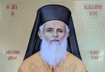 Από το βήμα της Βουλής: Τιμή στον Άγιο Καλλίνικο Εδέσσης και στο ζωντανό έργο της Μητροπόλεώς μας