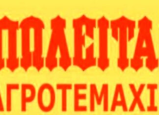 Πωλείται αγροτεμάχιο με κερασιές στην περιοχή Τσάρα (λίγο πιο πάνω από τη διασταύρωση Βρυττών Εδεσσας)